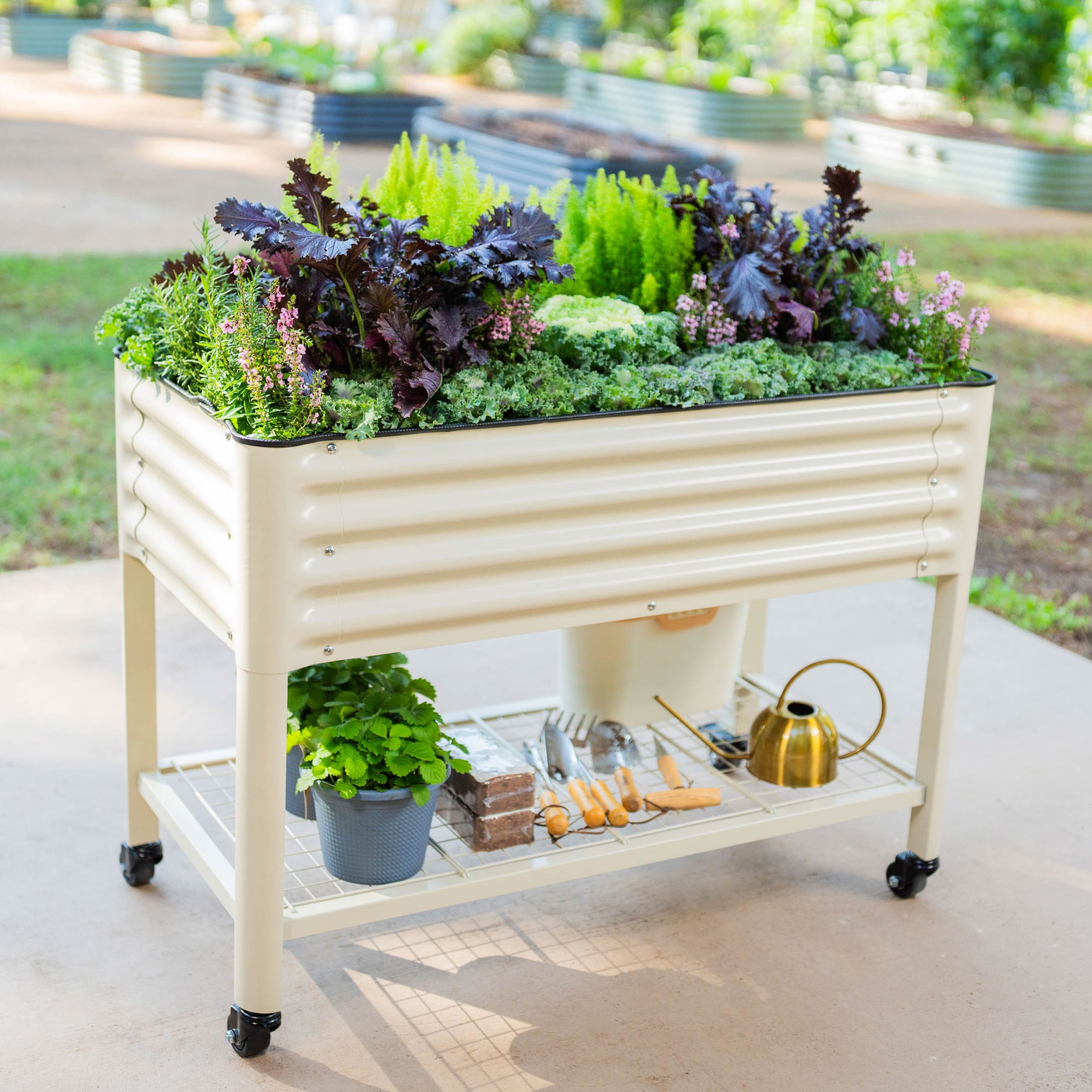 Vego Garden