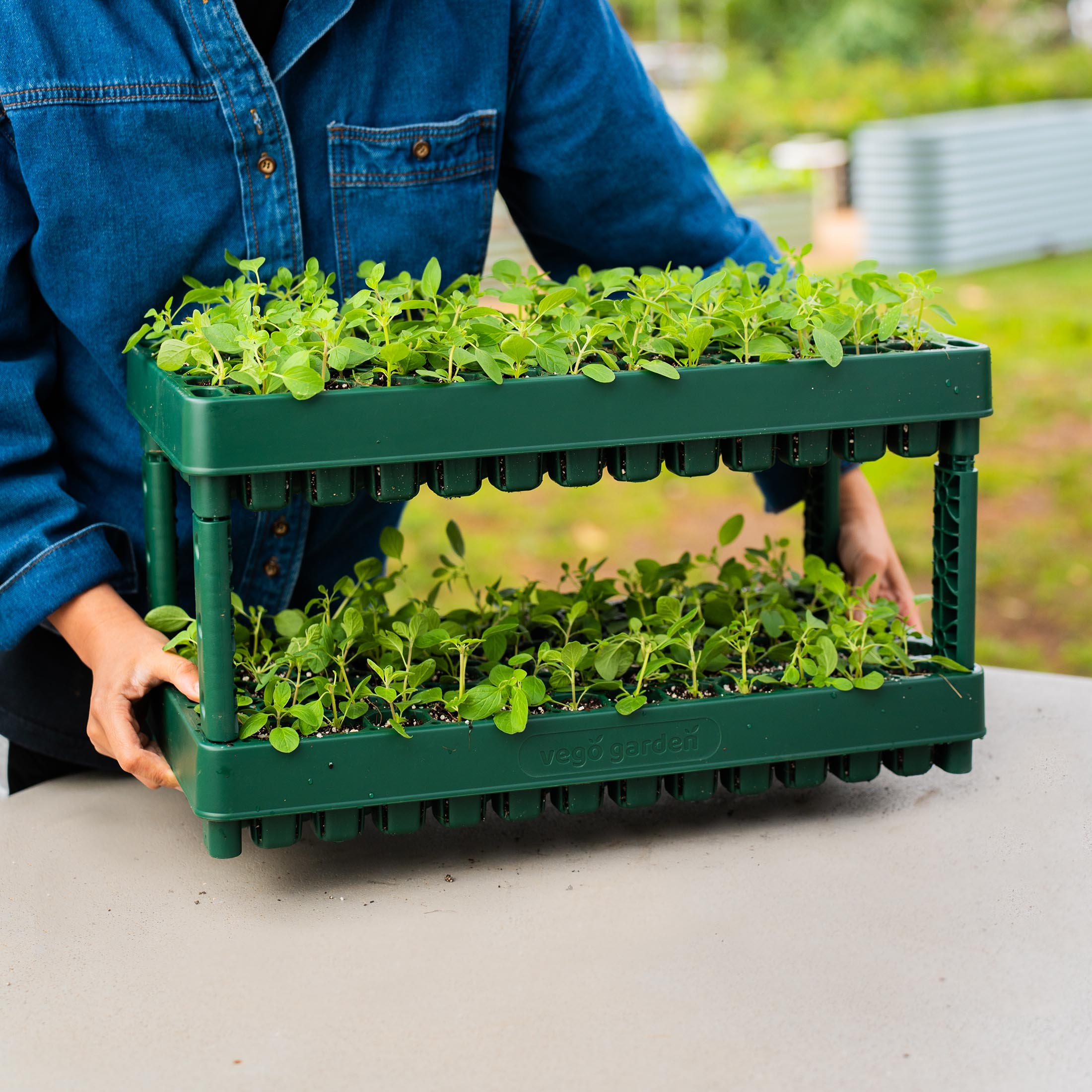 Vego Garden