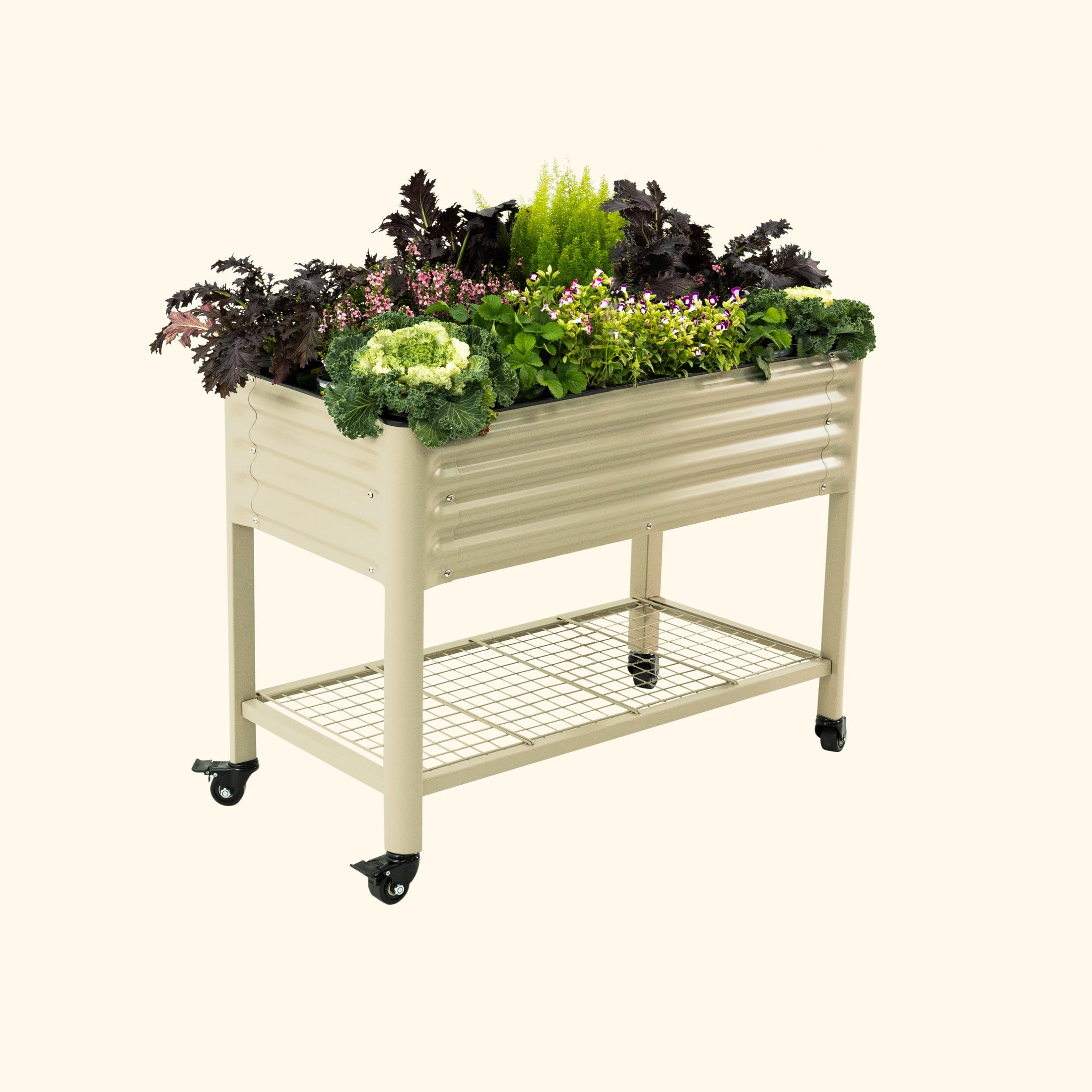 vego garden Elevated Garden Bed 2x4 with Wheels Pearl White Color