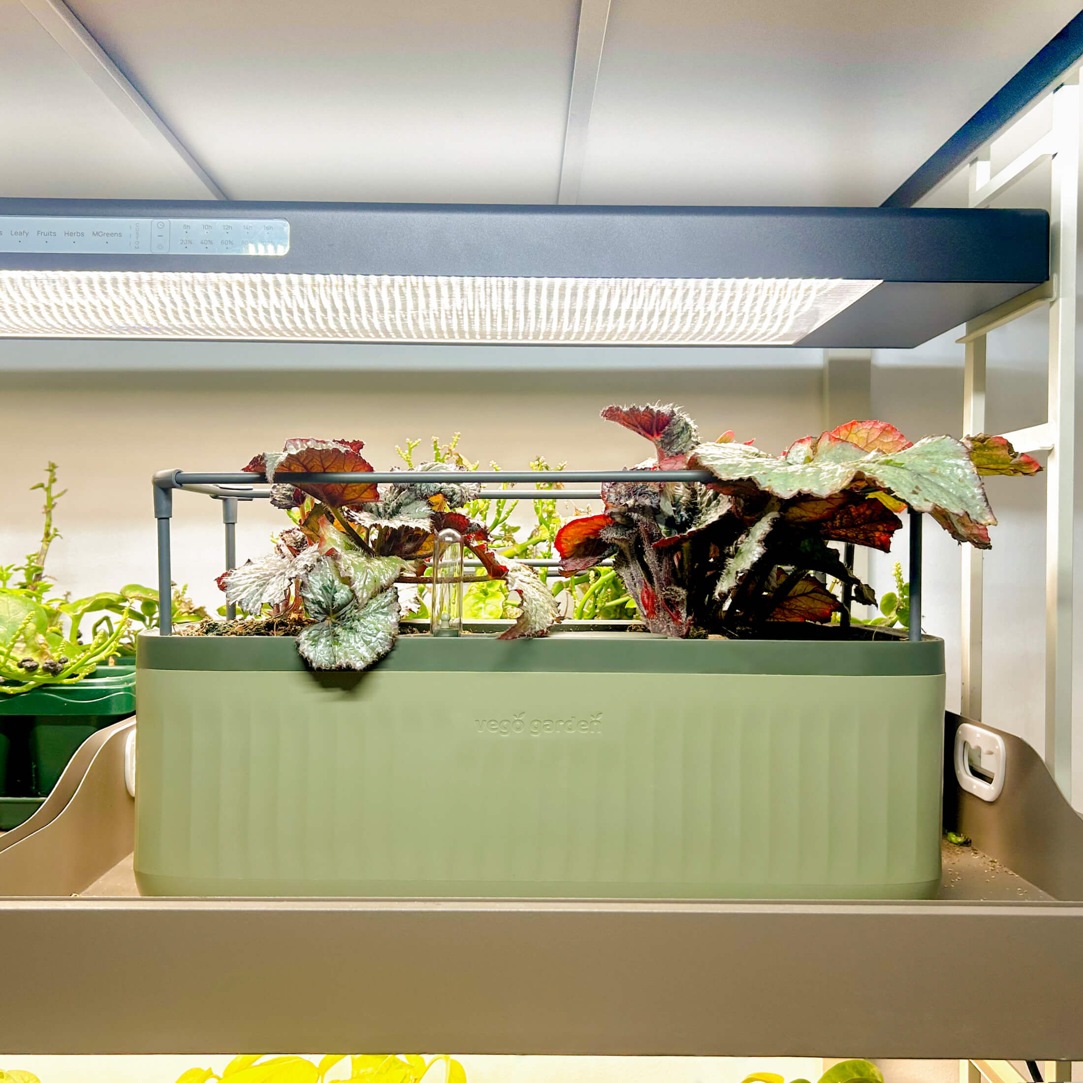 Vego Garden