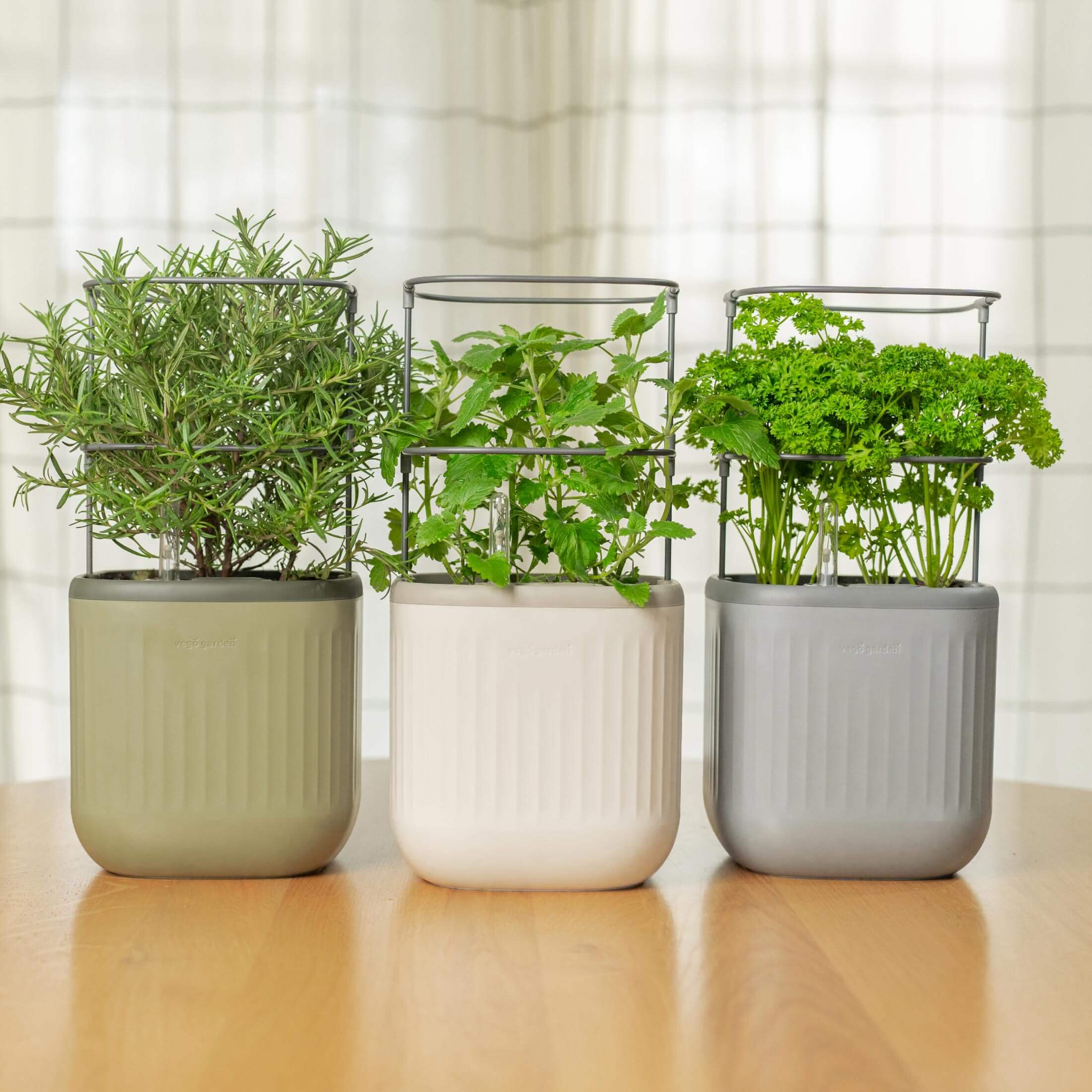 Vego Garden