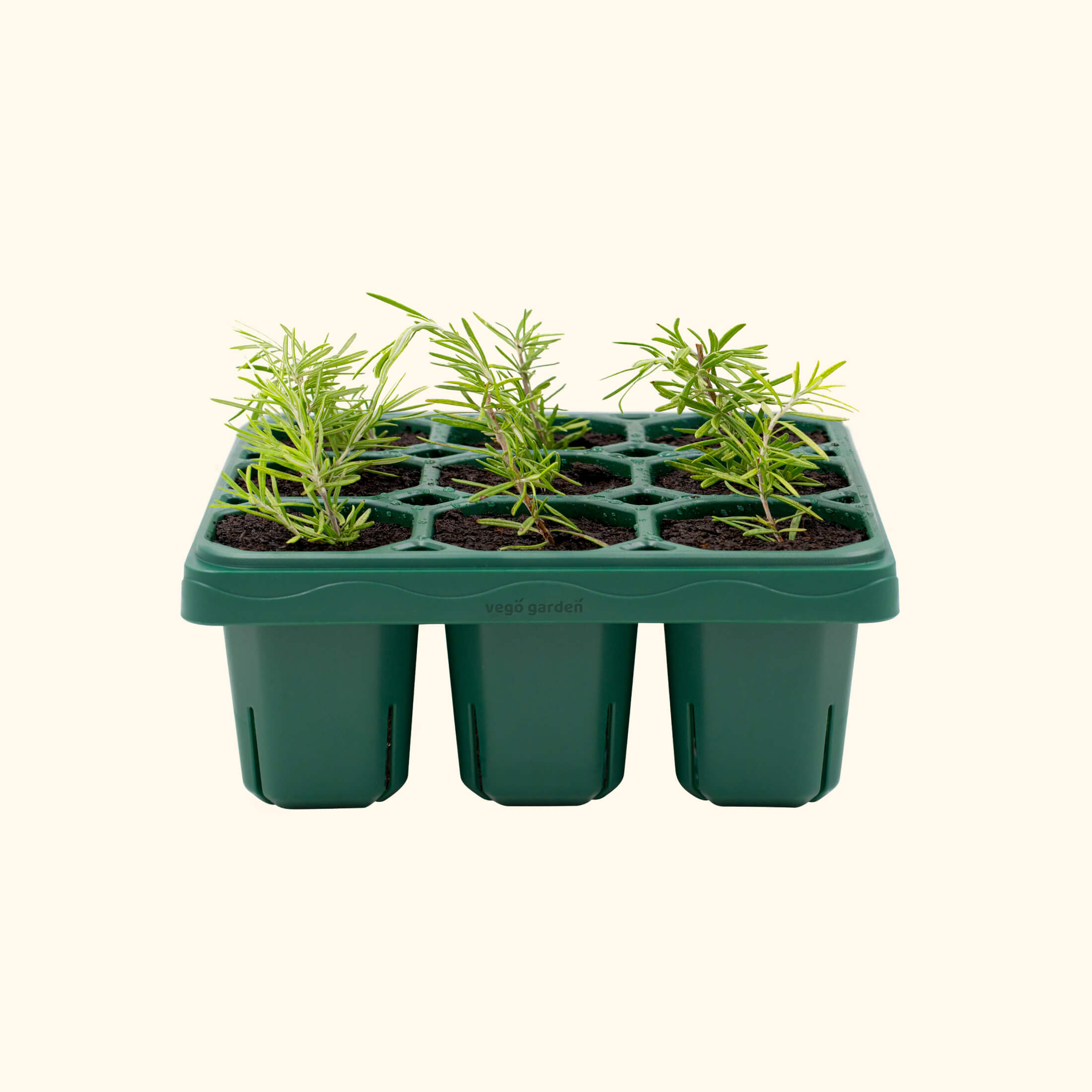 Giga Seedling Tray - 10" x 10" | Vego Garden
