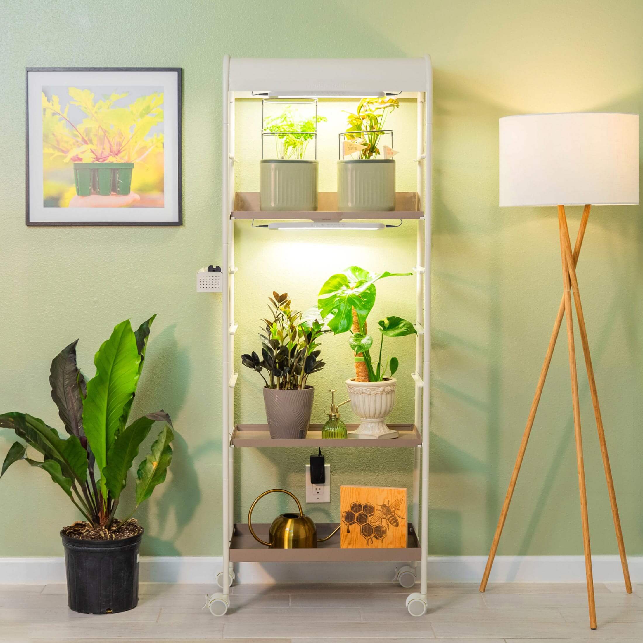 Vego Garden