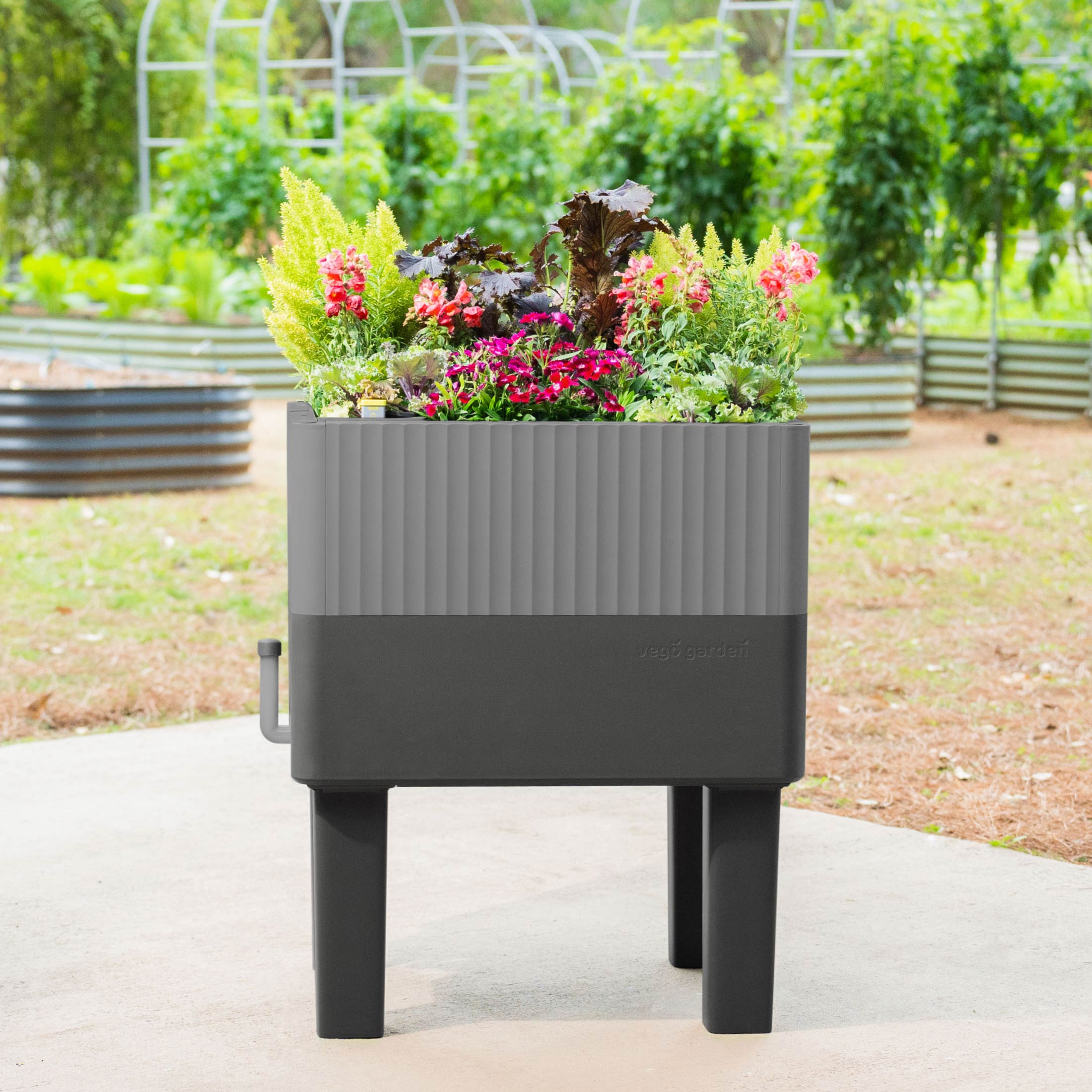 Vego Garden