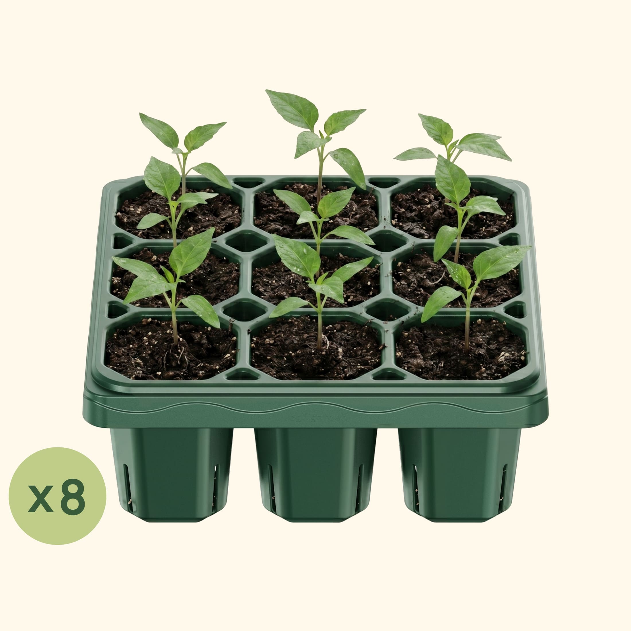 Giga Seedling Tray - 10" x 10" | Vego Garden