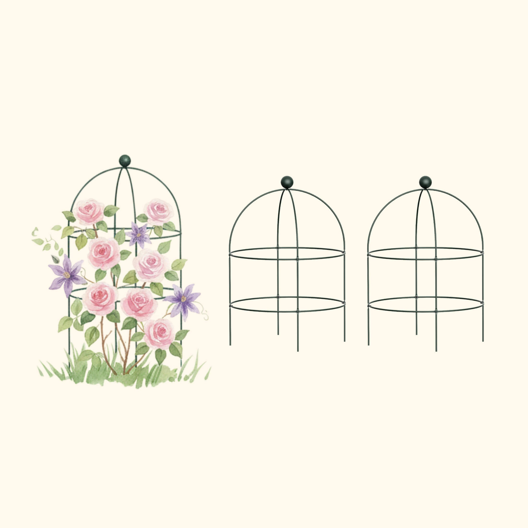 Birdcage Trellis - 2 Pack | Vego Garden