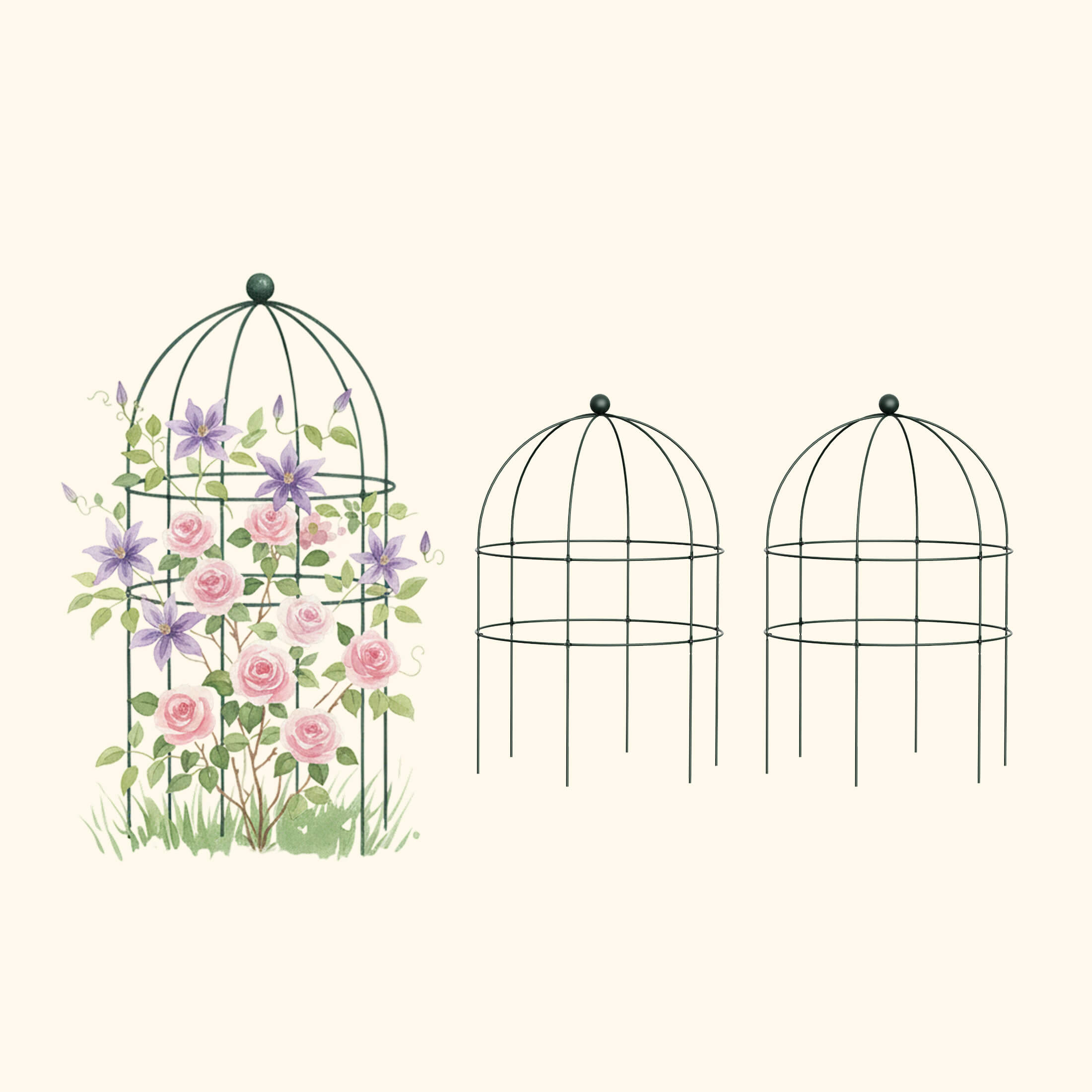 Birdcage Trellis - 2 Pack | Vego Garden
