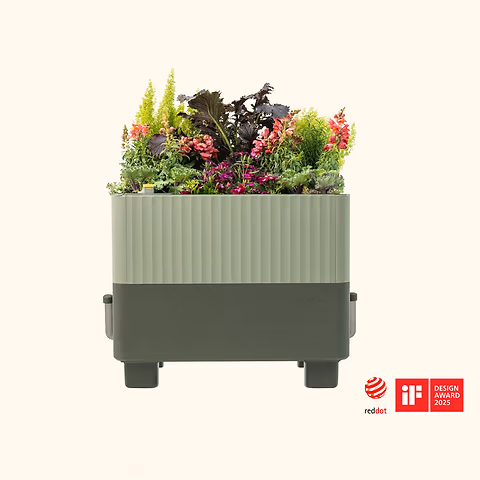 EZCube Self-Watering Planter 21" x 24" | Vego Garden