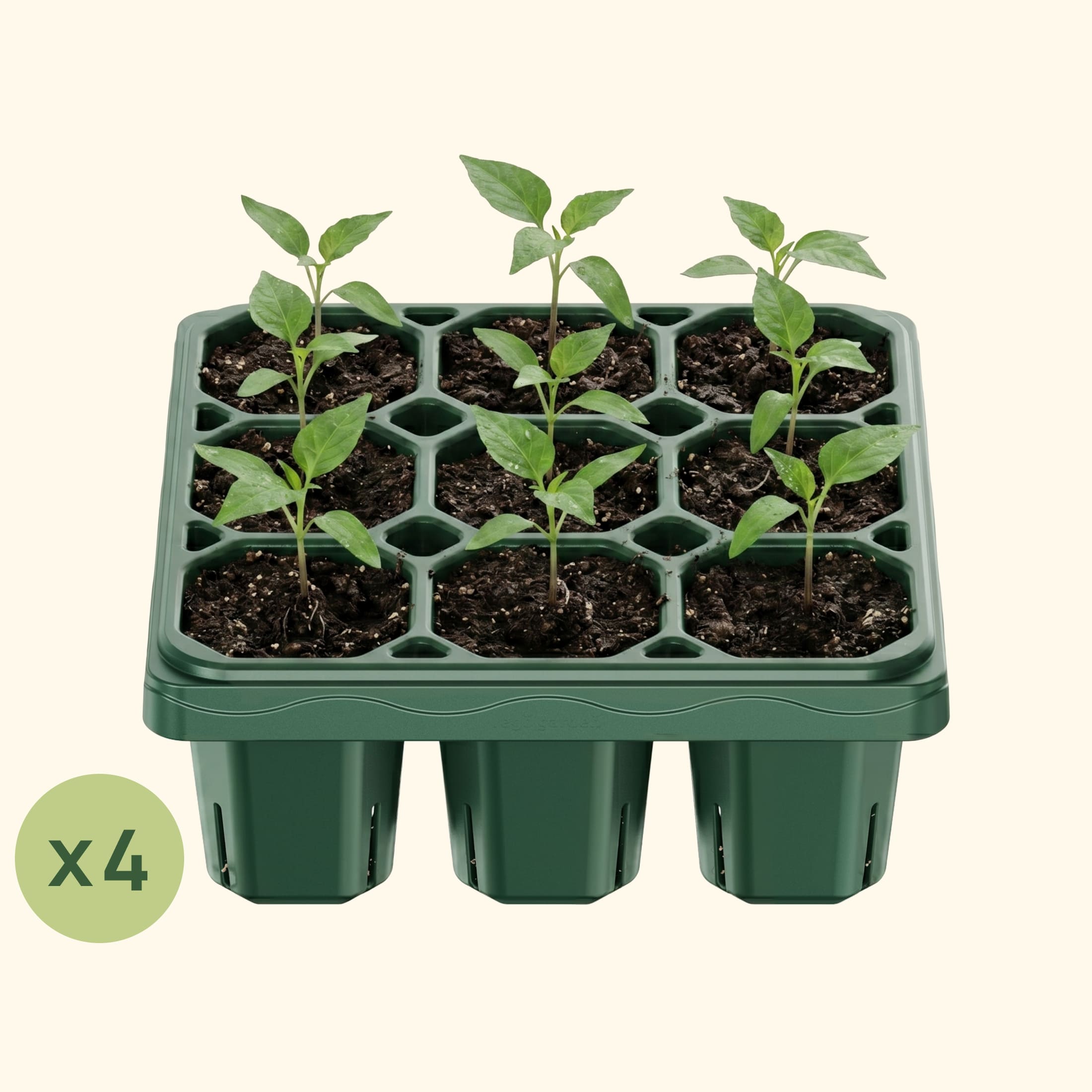 Giga Seedling Tray - 10" x 10" | Vego Garden