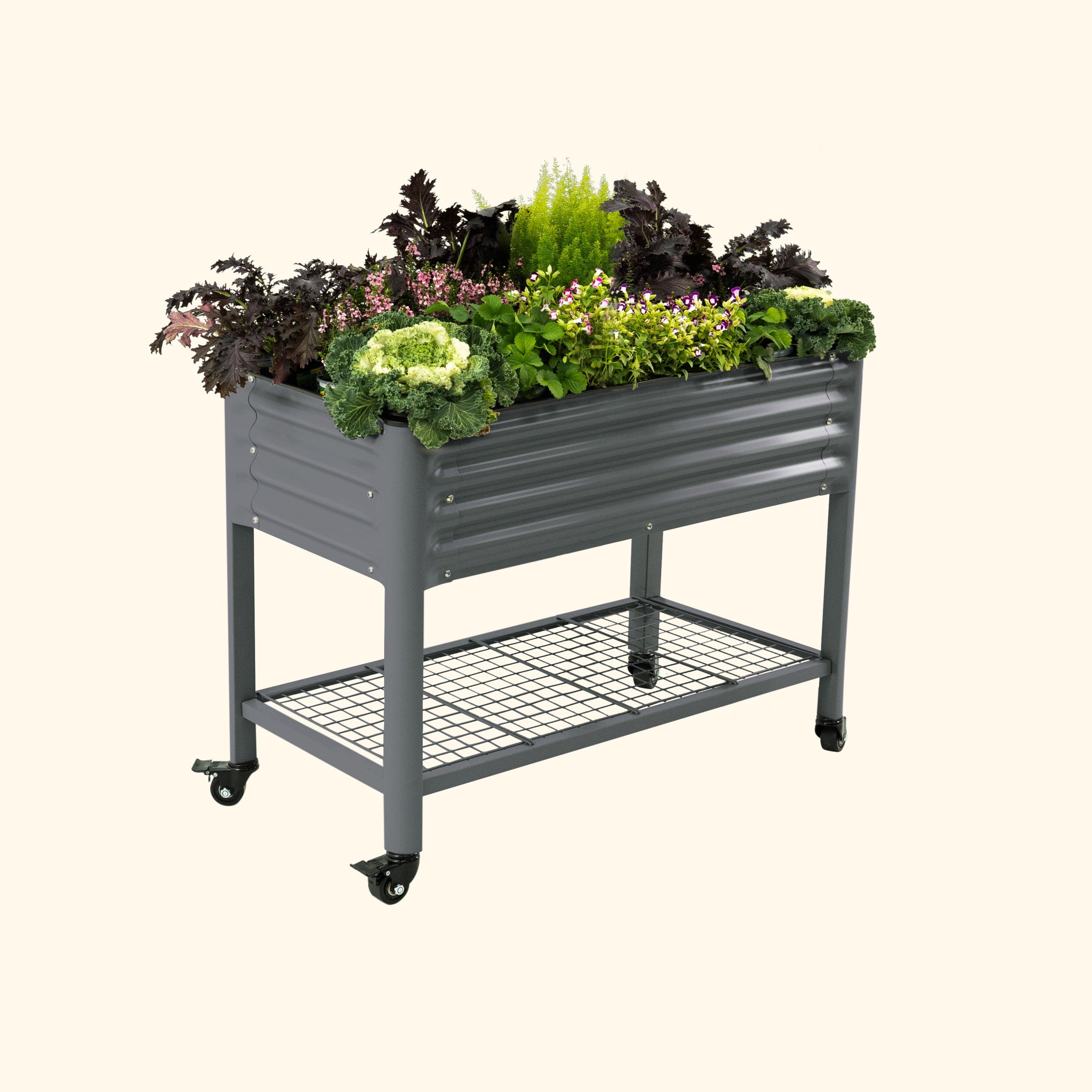 vego garden Elevated Garden Bed 2x4 with Wheels Modern Gray Color