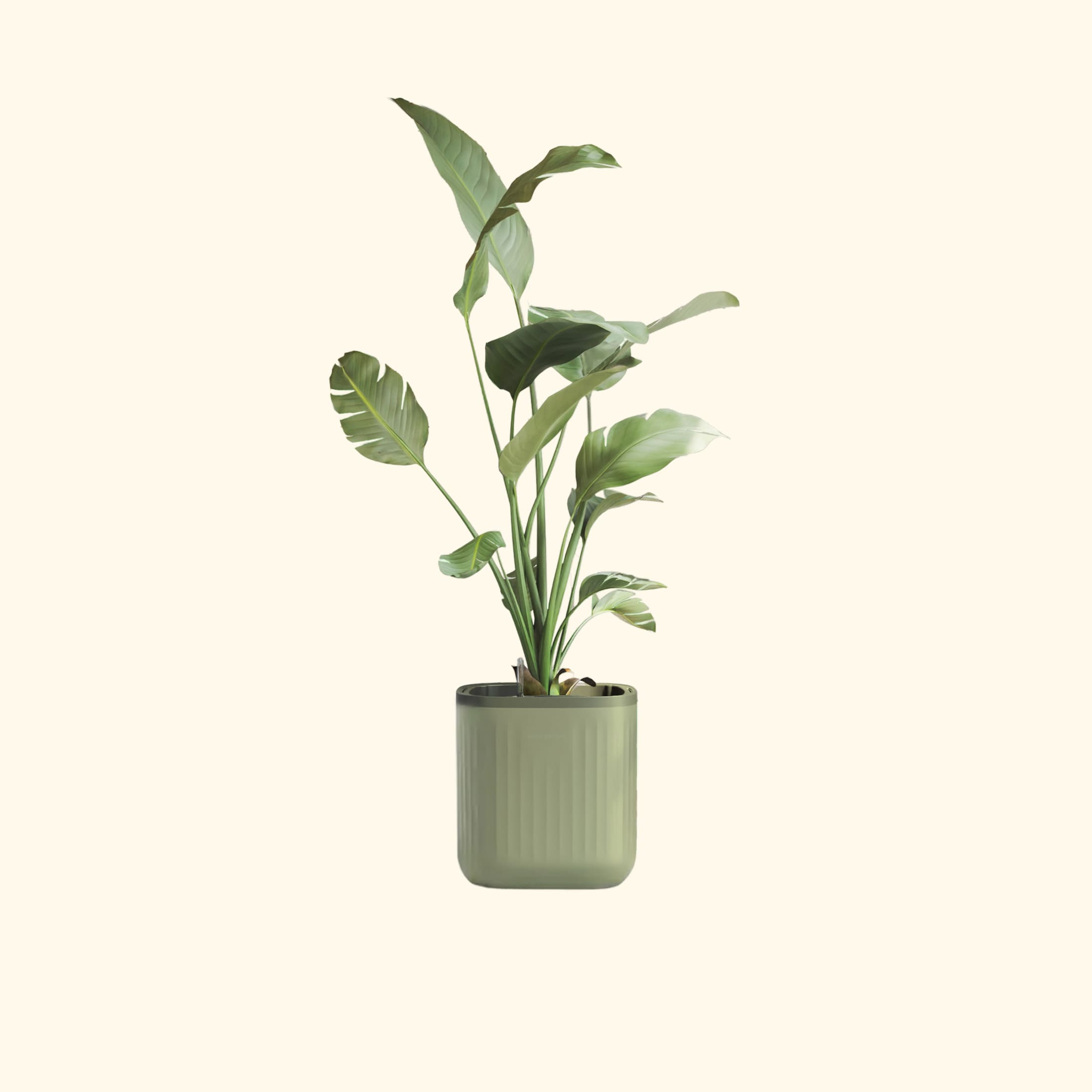 EZ Self-Watering Home Planter | Vego Garden
