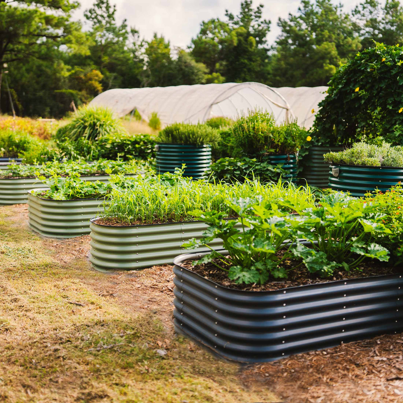 9 in 1 garden bed product image 4